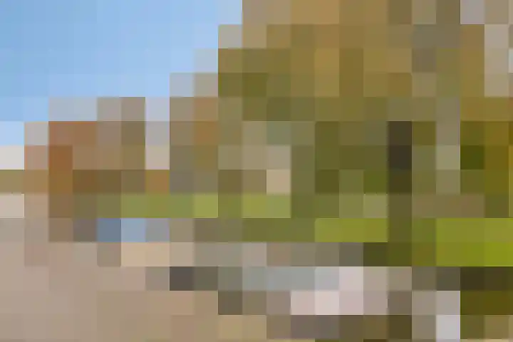 Vislaantje 12 Limmen thumbnail 26