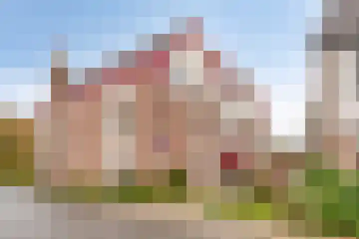 Vislaantje 12 Limmen thumbnail 30