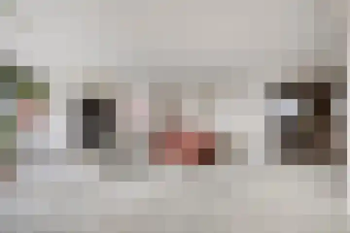 Vislaantje 12 Limmen thumbnail 7