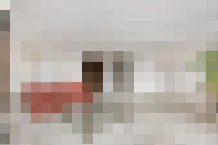 Vislaantje 12 Limmen thumbnail 8