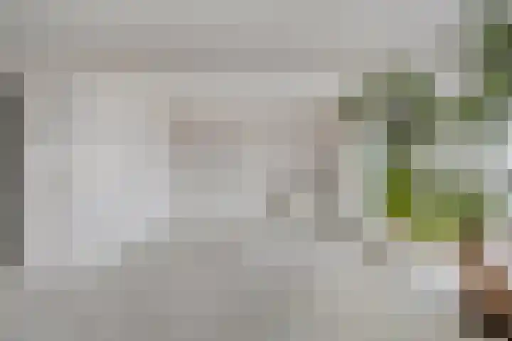 Vislaantje 12 Limmen thumbnail 9
