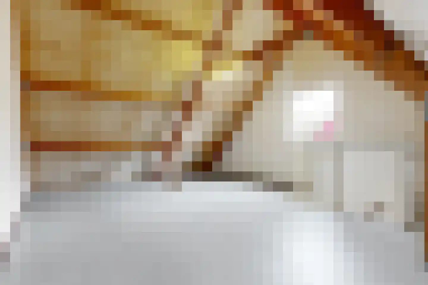 Vislaantje 4 Limmen thumbnail 28