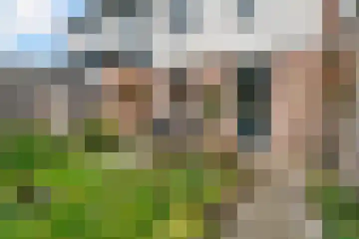 Vislaantje 4 Limmen thumbnail 33