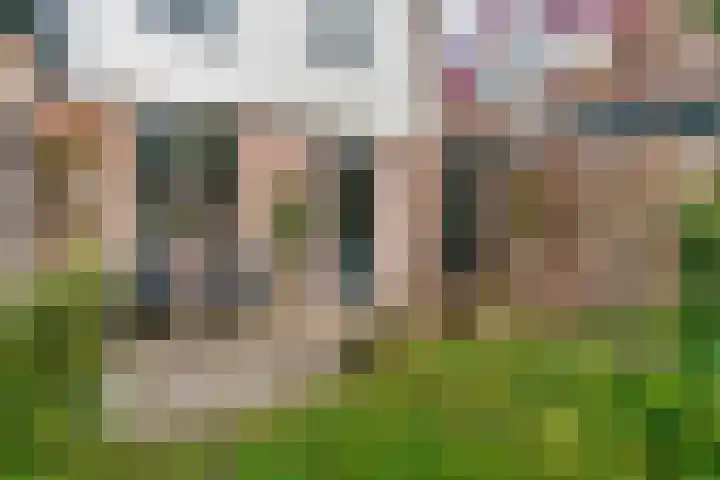 Vislaantje 4 Limmen thumbnail 34