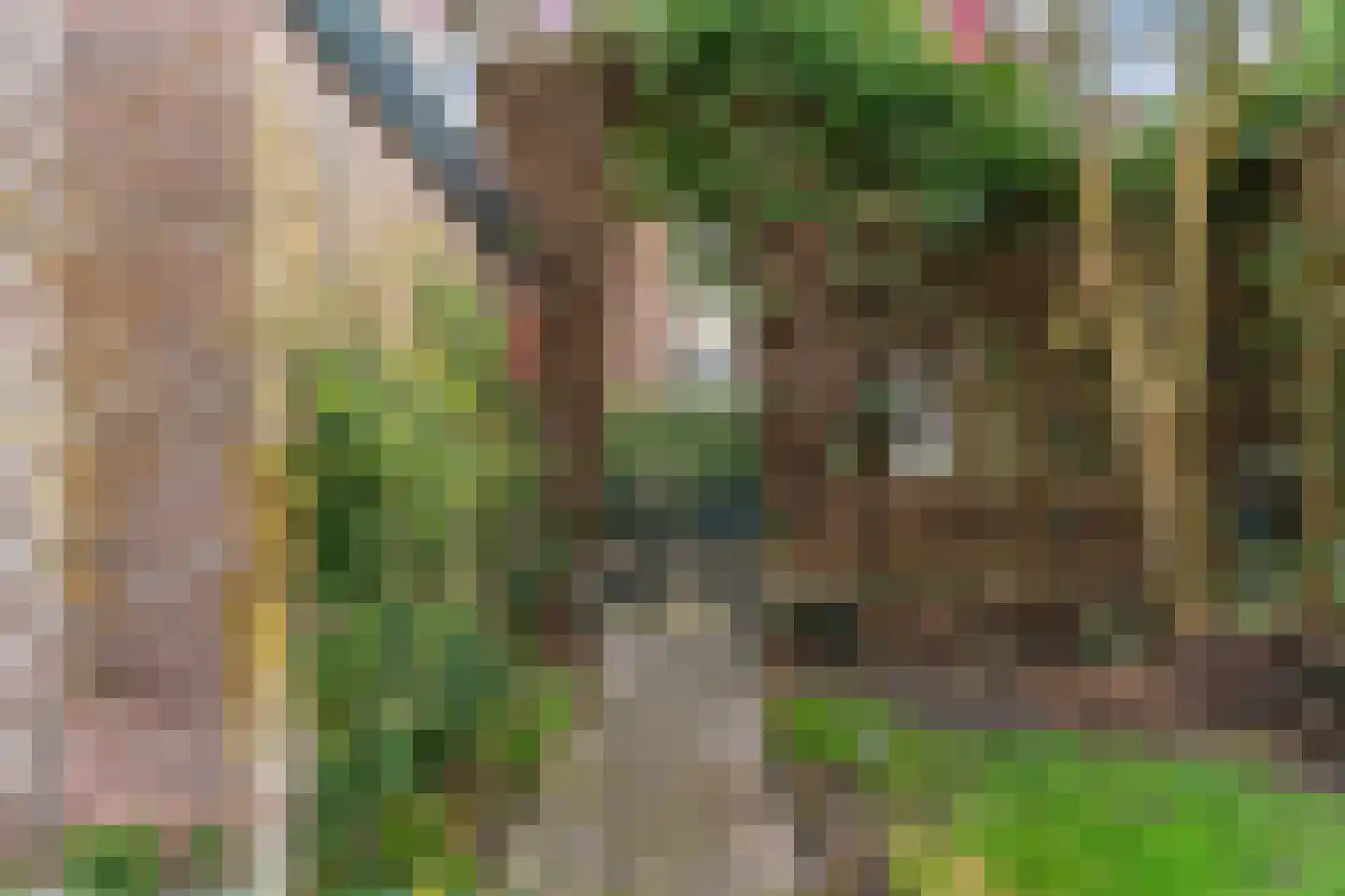 Vislaantje 4 Limmen thumbnail 36