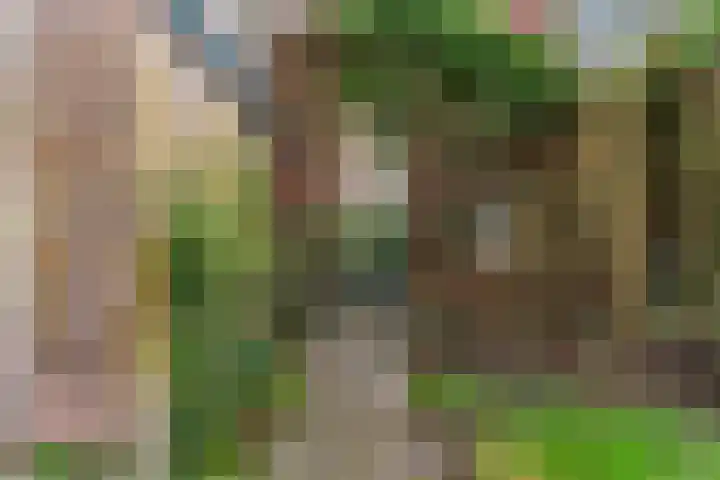 Vislaantje 4 Limmen thumbnail 36