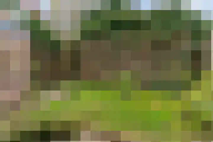 Vislaantje 4 Limmen thumbnail 37