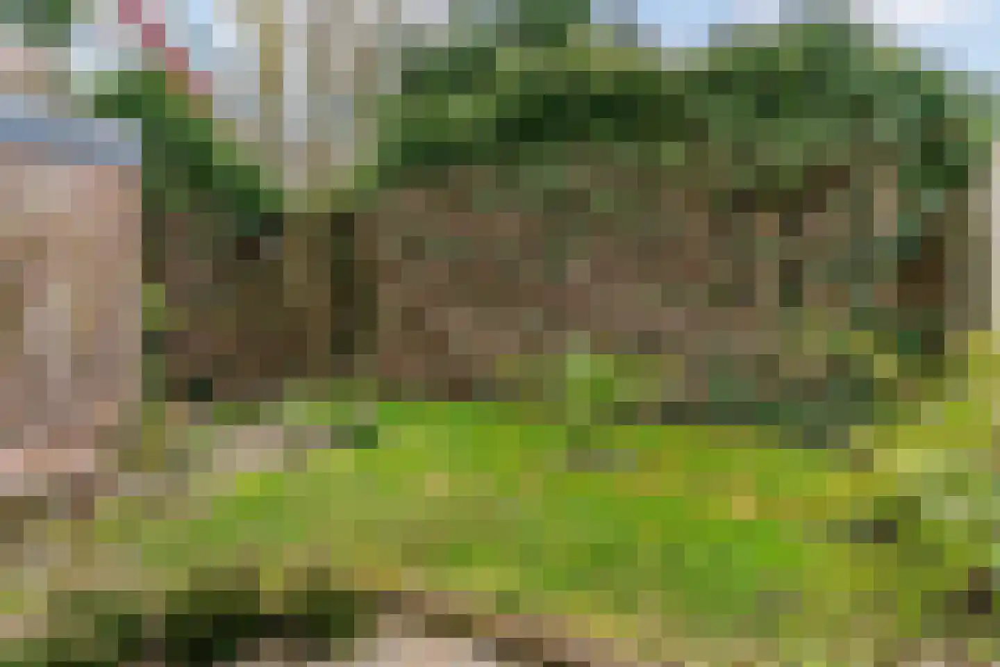 Vislaantje 4 Limmen thumbnail 37