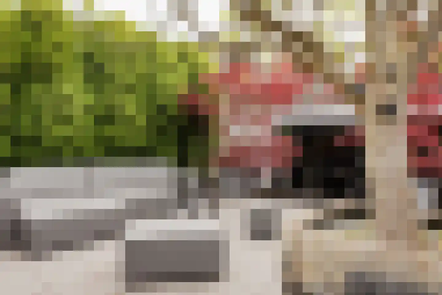 Vismarkt 4 Hoorn thumbnail 12
