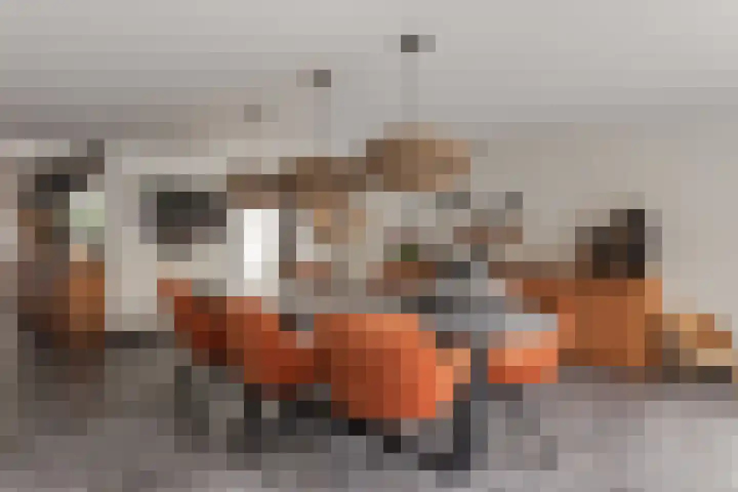 Vismarkt 4 Hoorn thumbnail 8