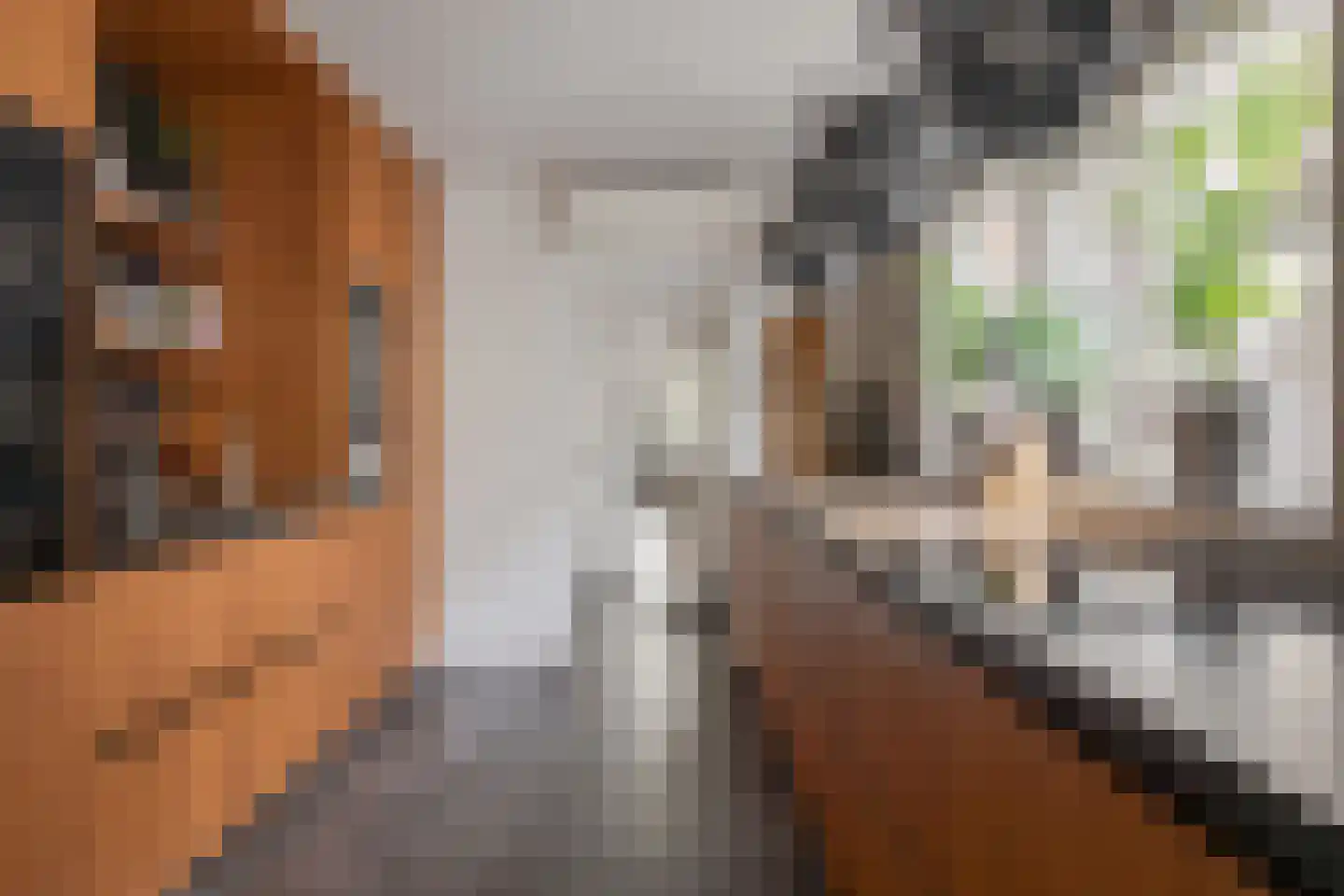 Vismarkt 4 Hoorn thumbnail 9