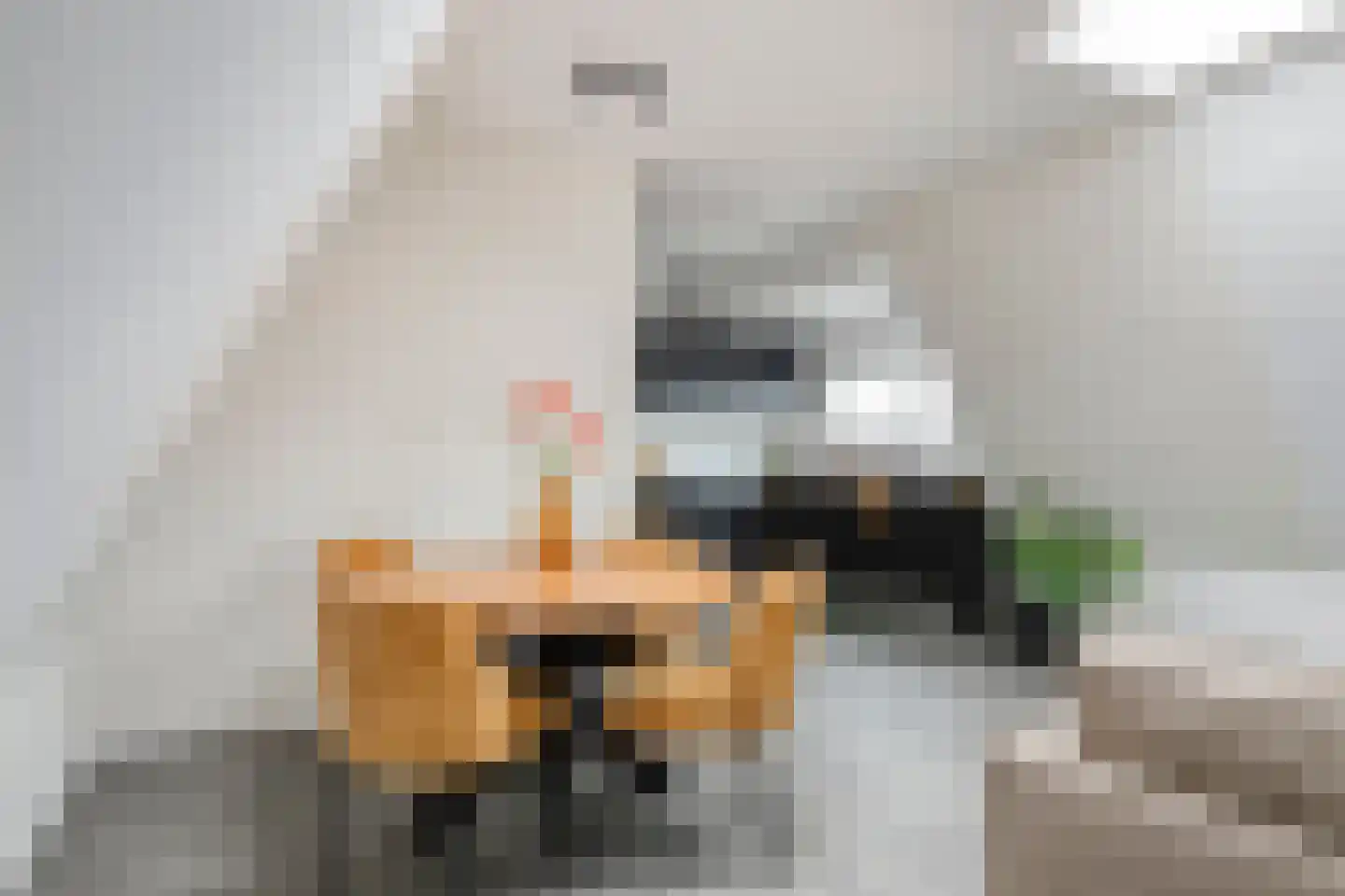 Vismarkt 50 c Groningen thumbnail 6
