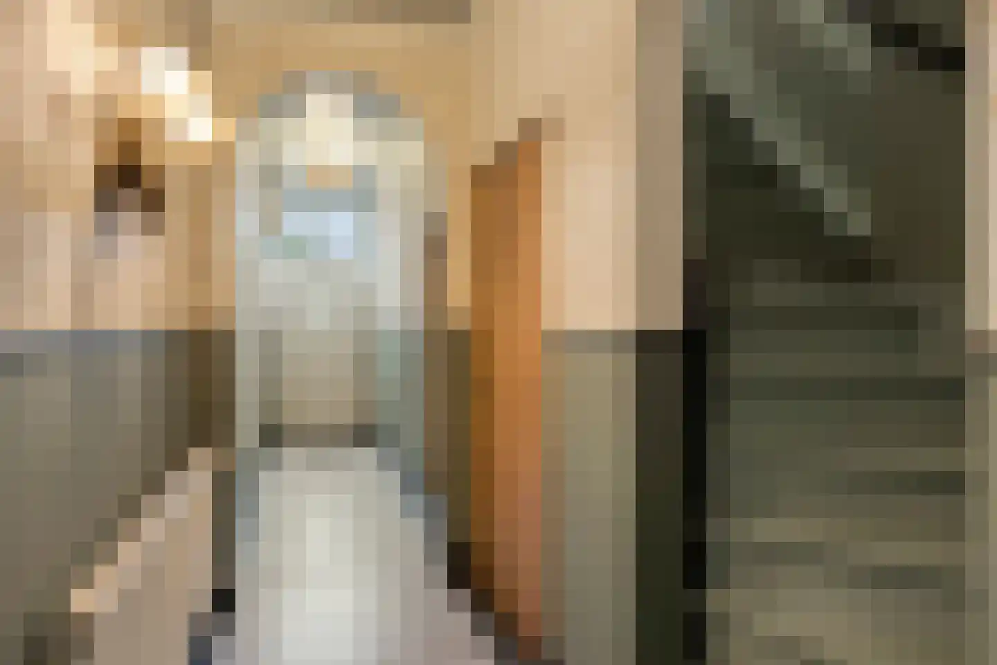 Vismarkt 8 Bredevoort thumbnail 26