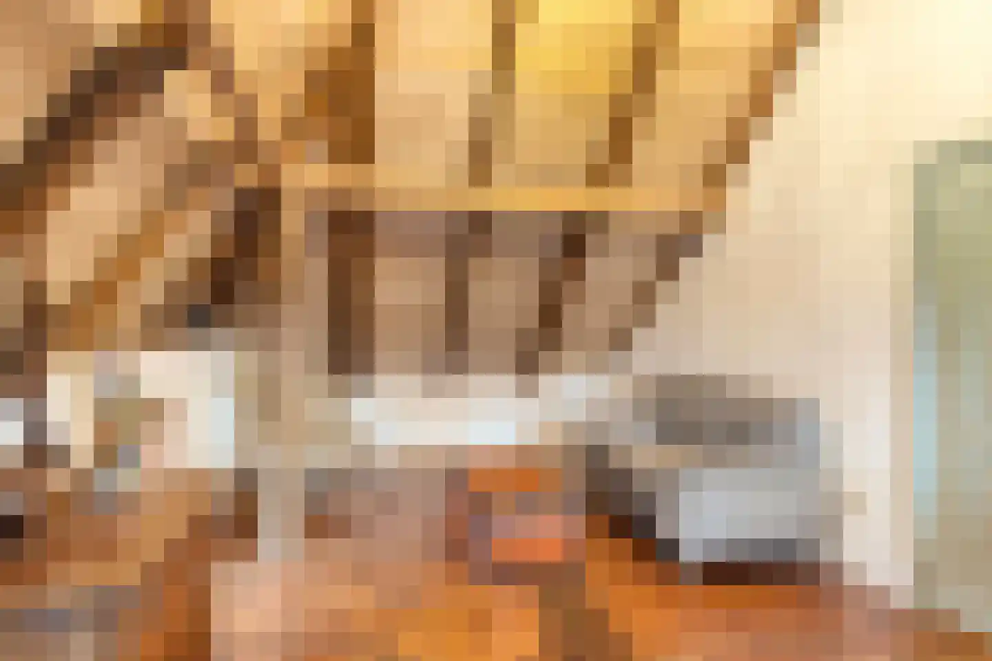 Vismarkt 8 Bredevoort thumbnail 31