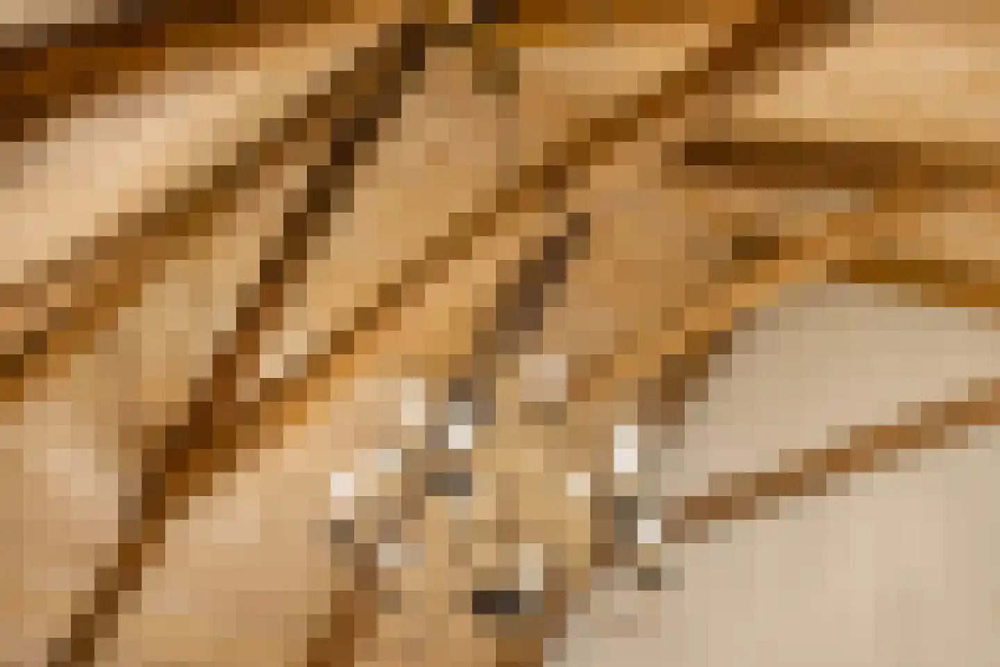 Vismarkt 8 Bredevoort thumbnail 32