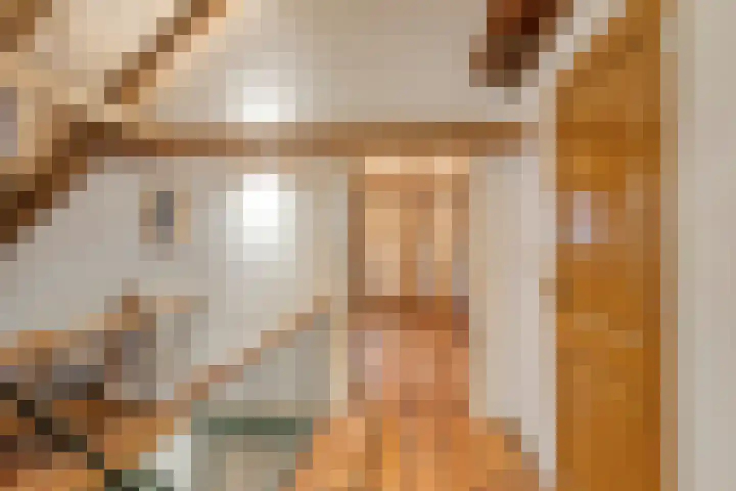 Vismarkt 8 Bredevoort thumbnail 35