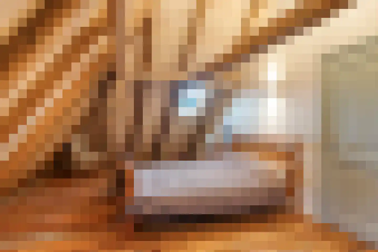 Vismarkt 8 Bredevoort thumbnail 36