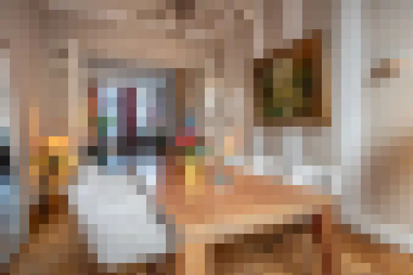 Vismarktstraat 10 Geertruidenberg thumbnail 12