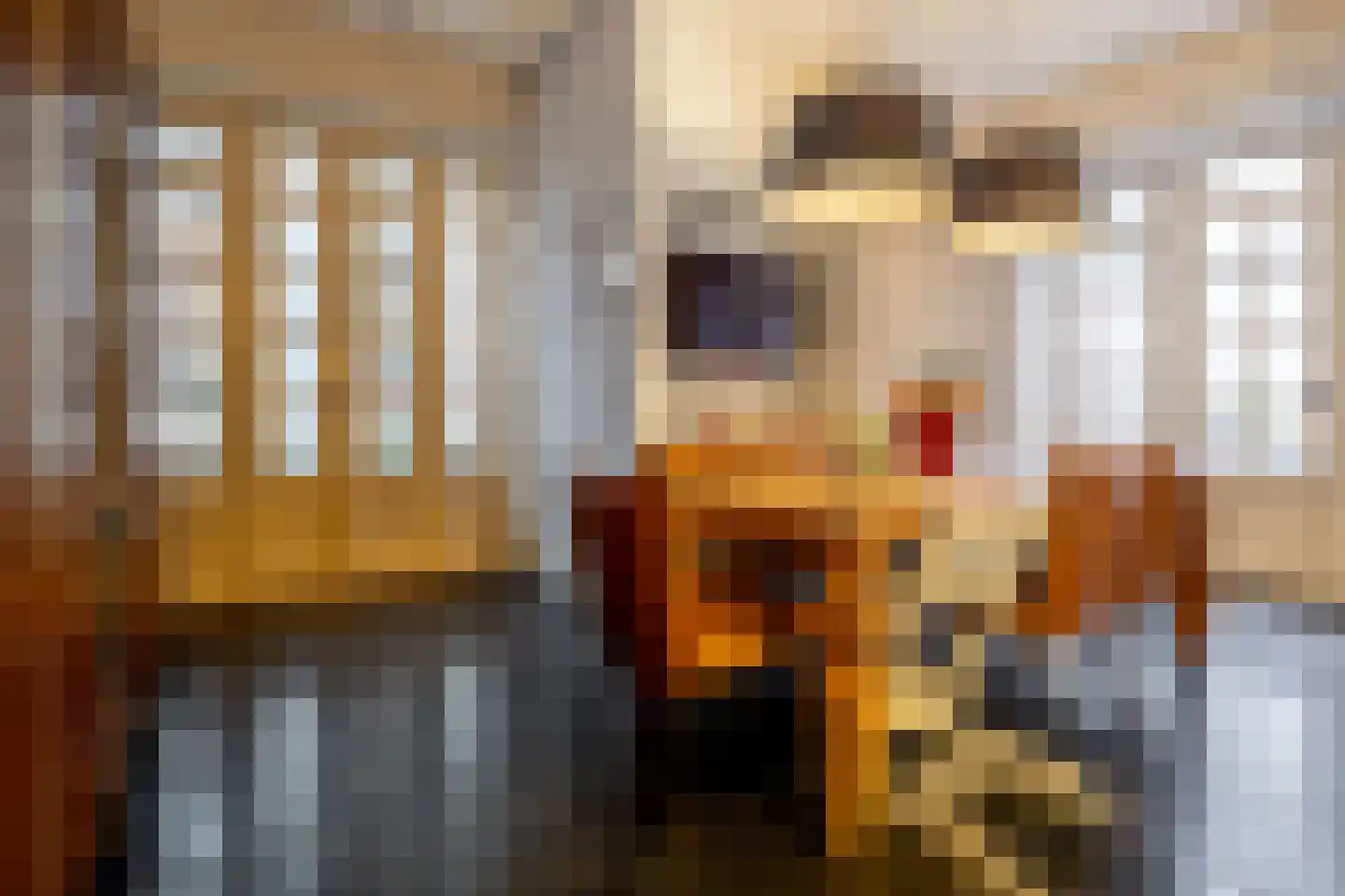 Vismarktstraat 10 Geertruidenberg thumbnail 18