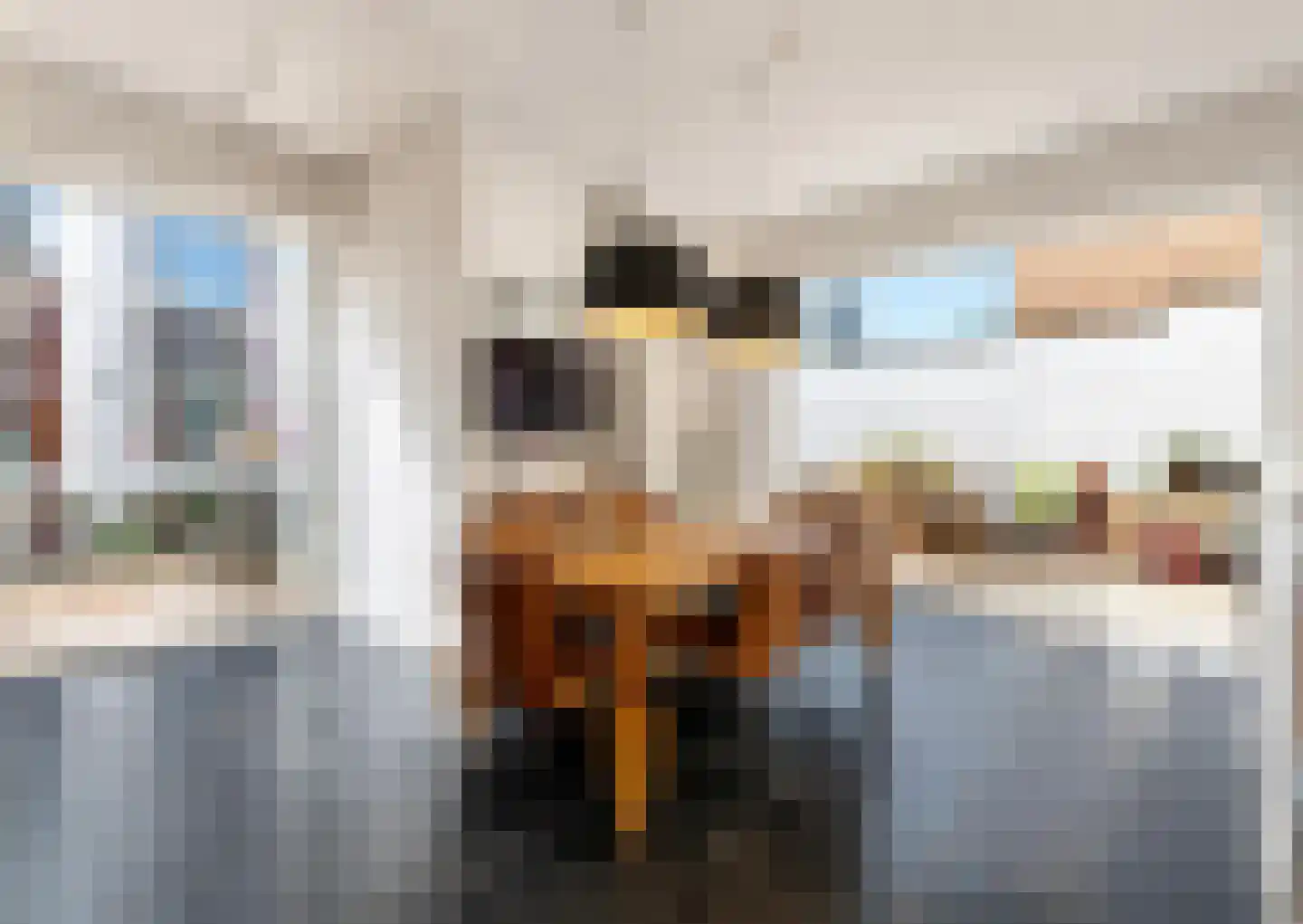 Vismarktstraat 10 Geertruidenberg thumbnail 19