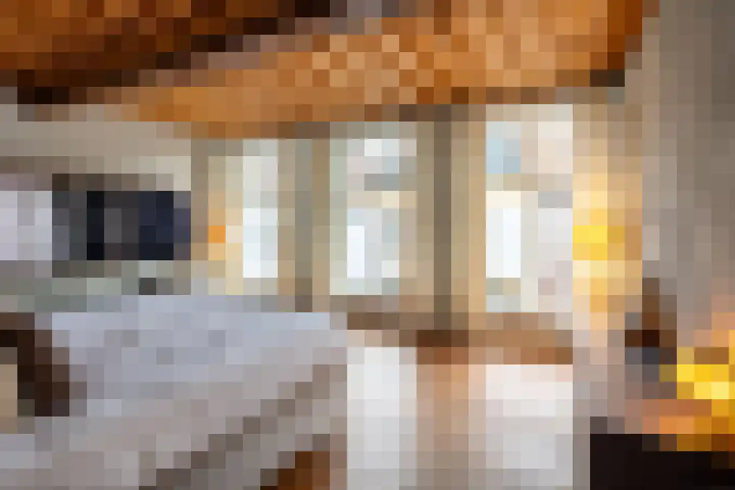 Vismarktstraat 10 Geertruidenberg thumbnail 28