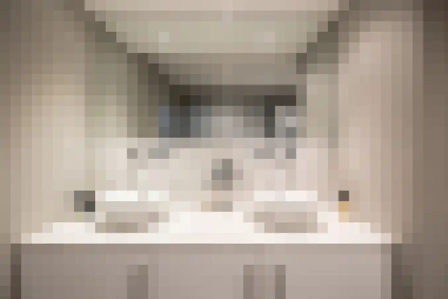 Vismarktstraat 10 Geertruidenberg thumbnail 33