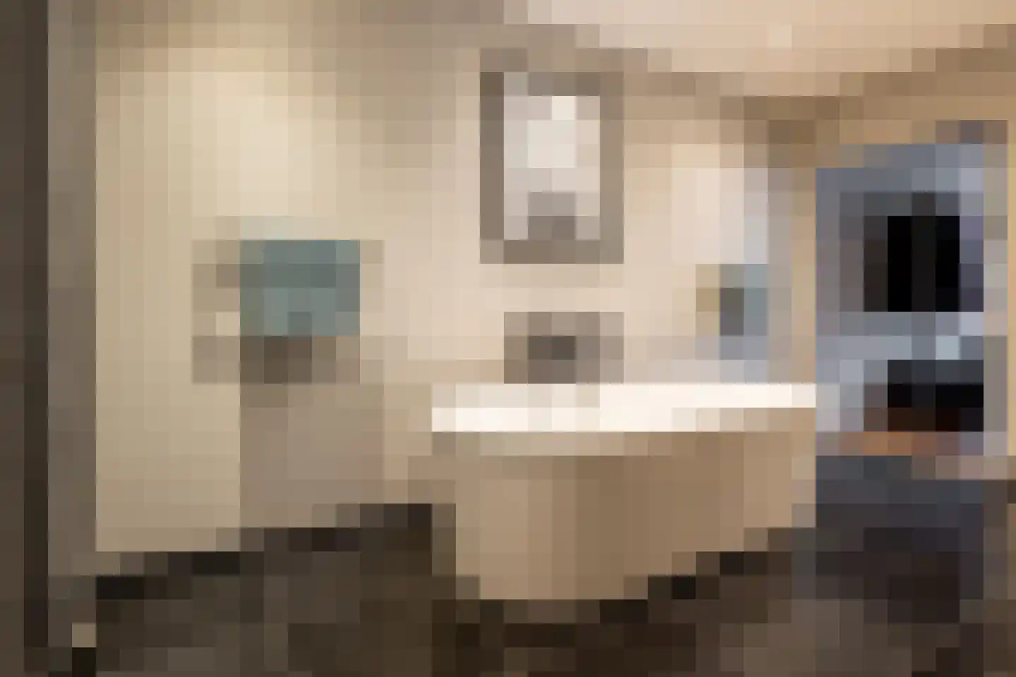 Vismarktstraat 10 Geertruidenberg thumbnail 34