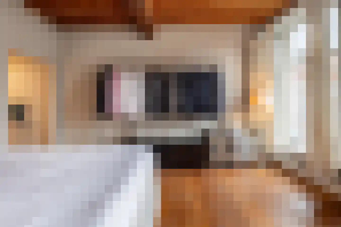 Vismarktstraat 10 Geertruidenberg thumbnail 30
