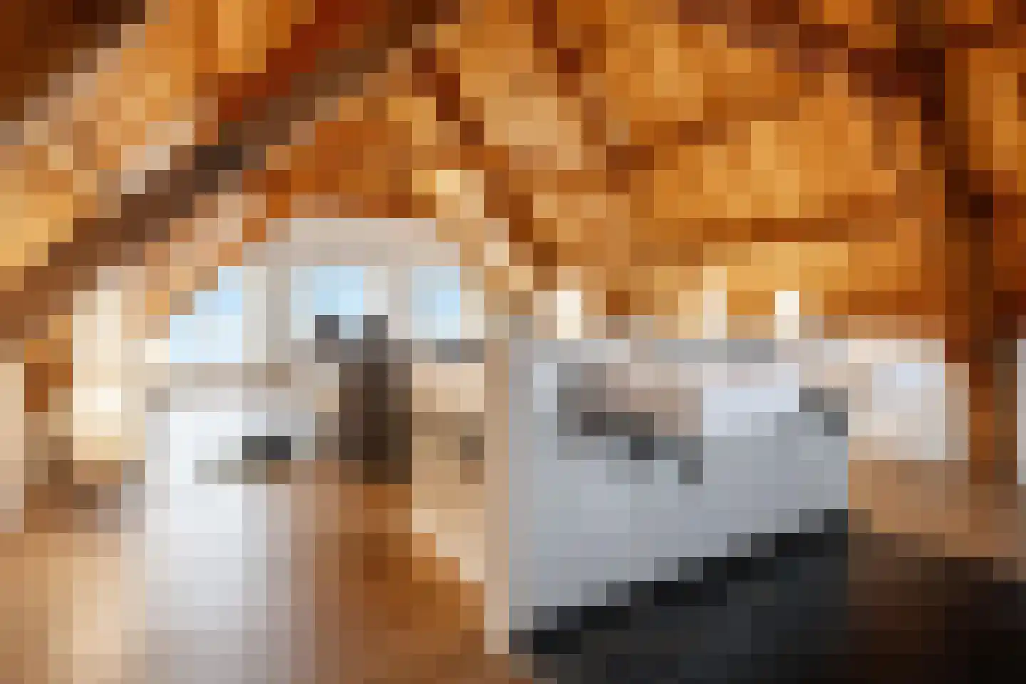 Vismarktstraat 10 Geertruidenberg thumbnail 37