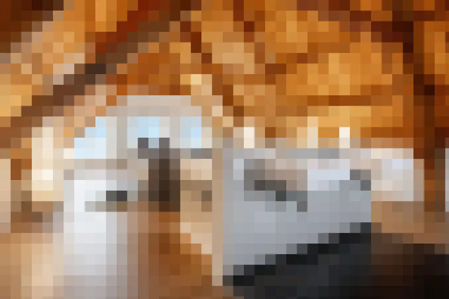 Vismarktstraat 10 Geertruidenberg thumbnail 37