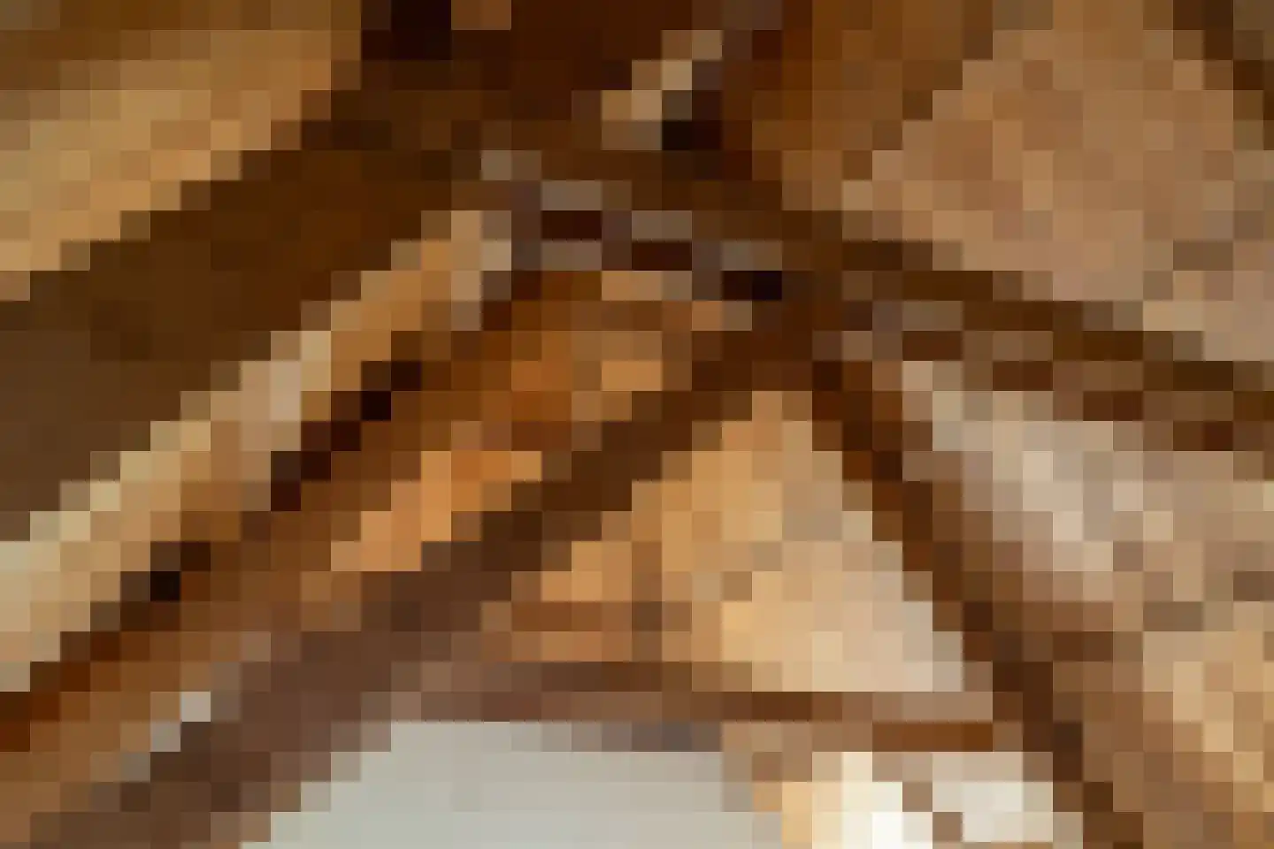 Vismarktstraat 10 Geertruidenberg thumbnail 38