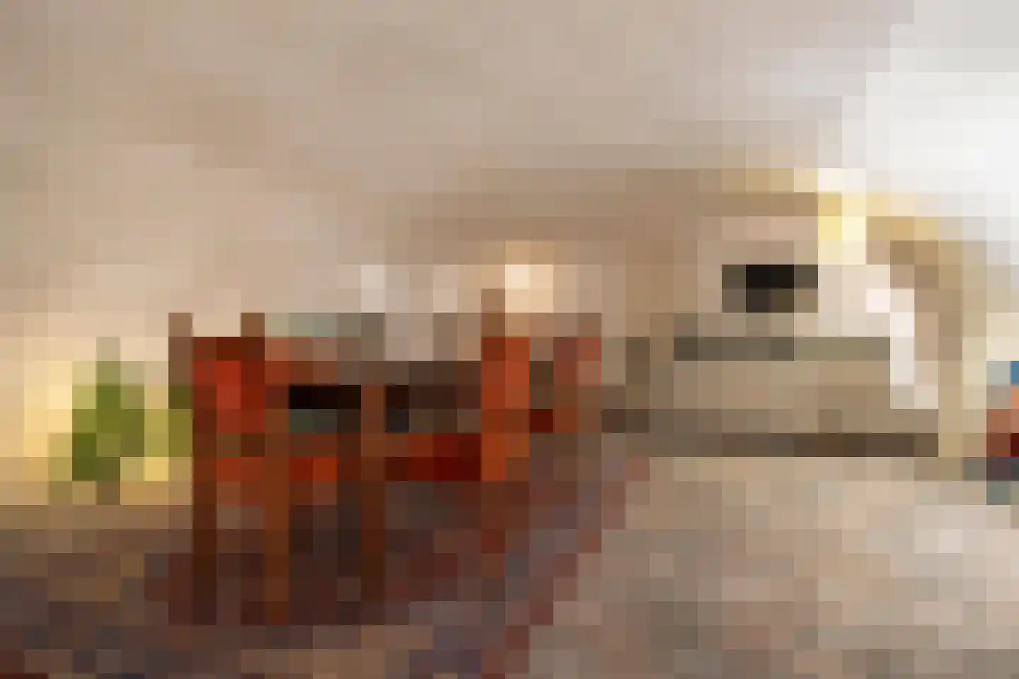 Vismarktstraat 10 Geertruidenberg thumbnail 41