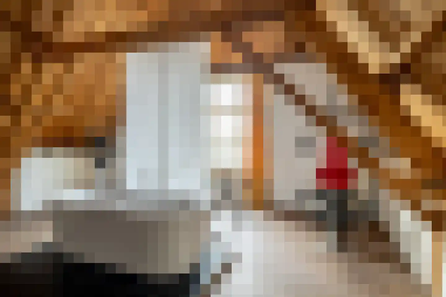 Vismarktstraat 10 Geertruidenberg thumbnail 40