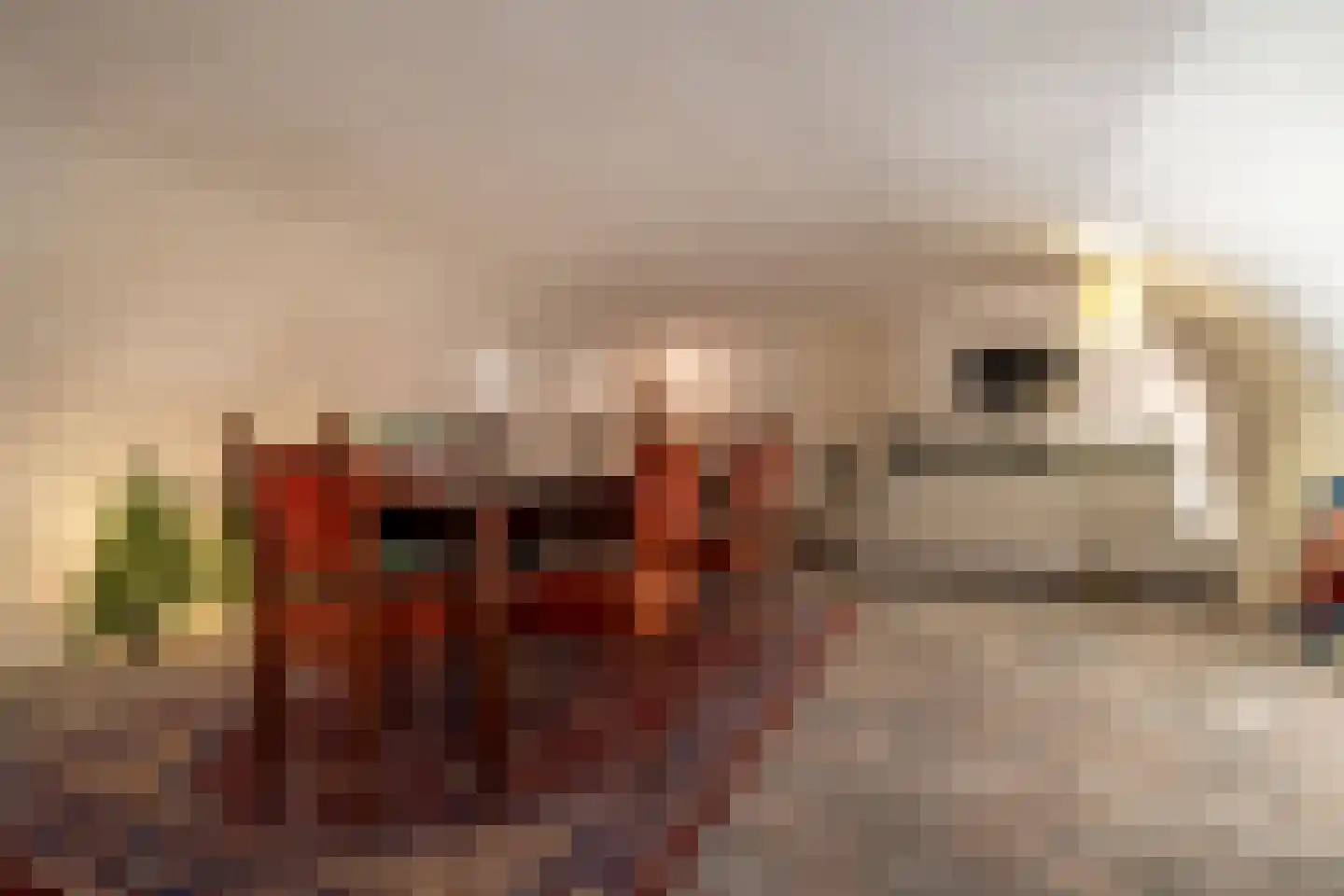 Vismarktstraat 10 Geertruidenberg thumbnail 41