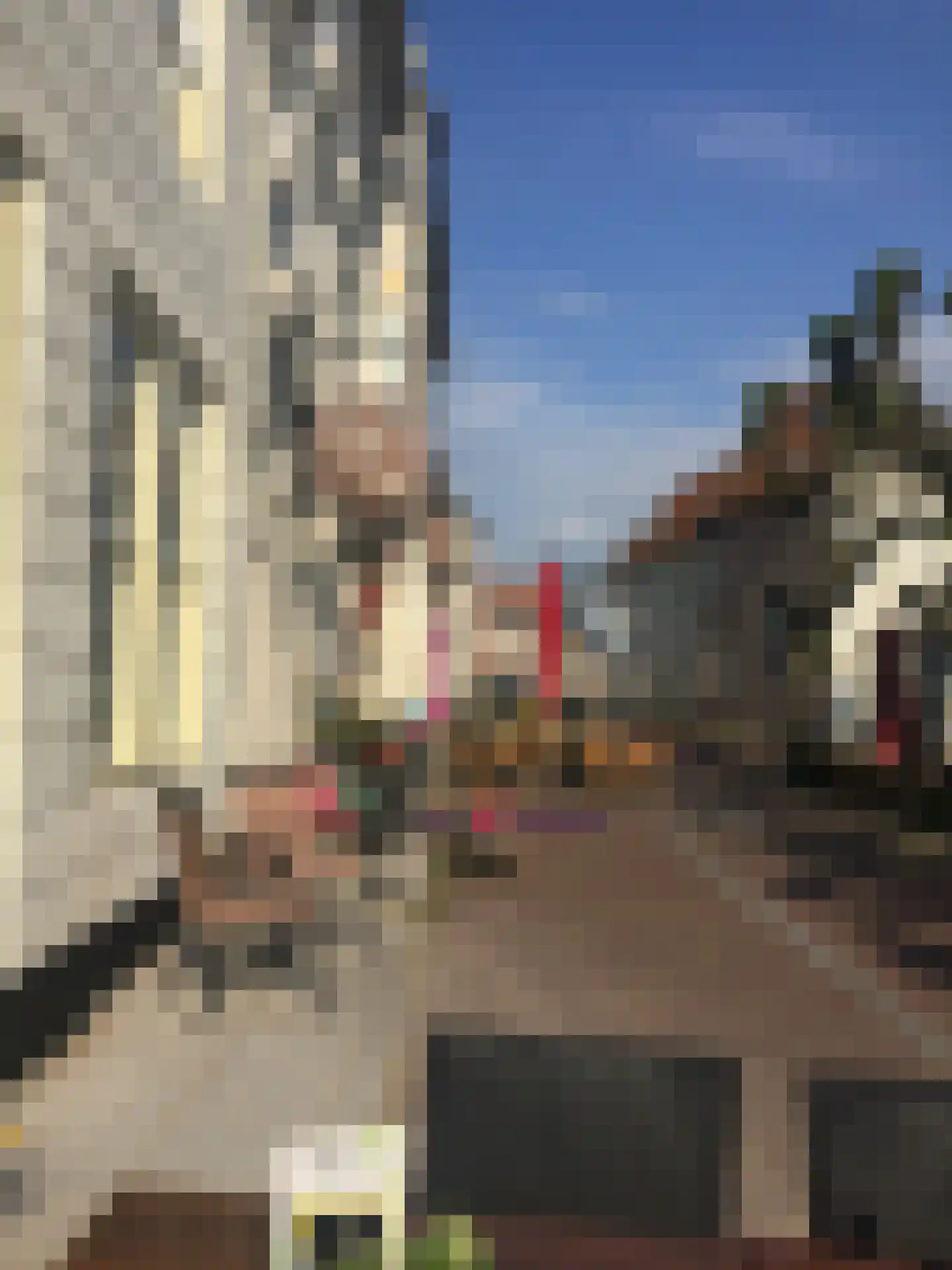 Vismarktstraat 10 Geertruidenberg thumbnail 48