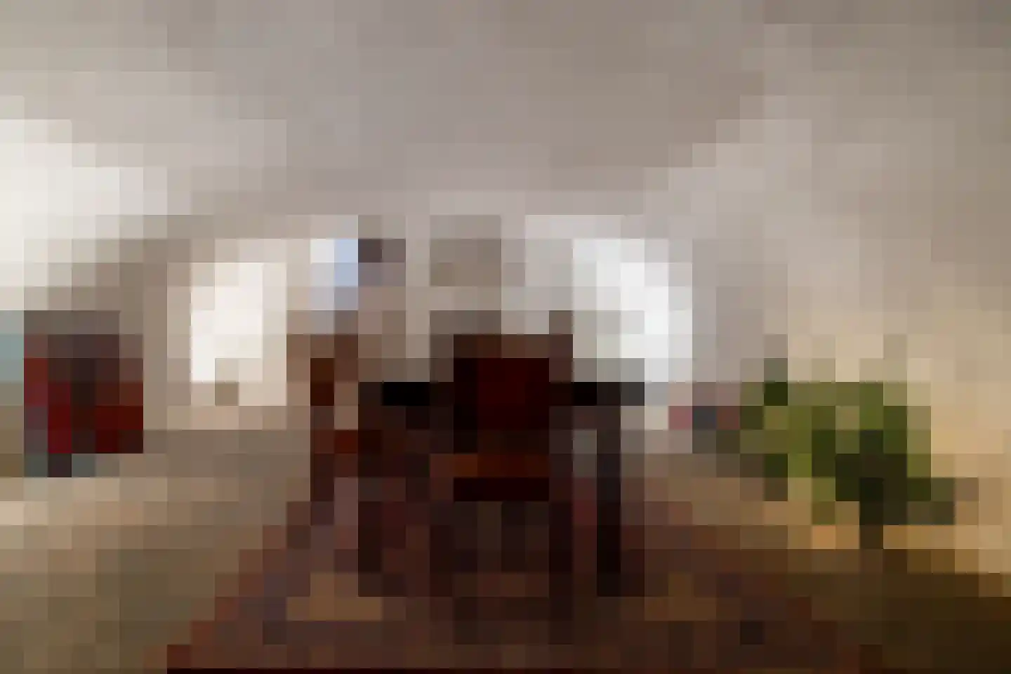 Vismarktstraat 10 Geertruidenberg thumbnail 43