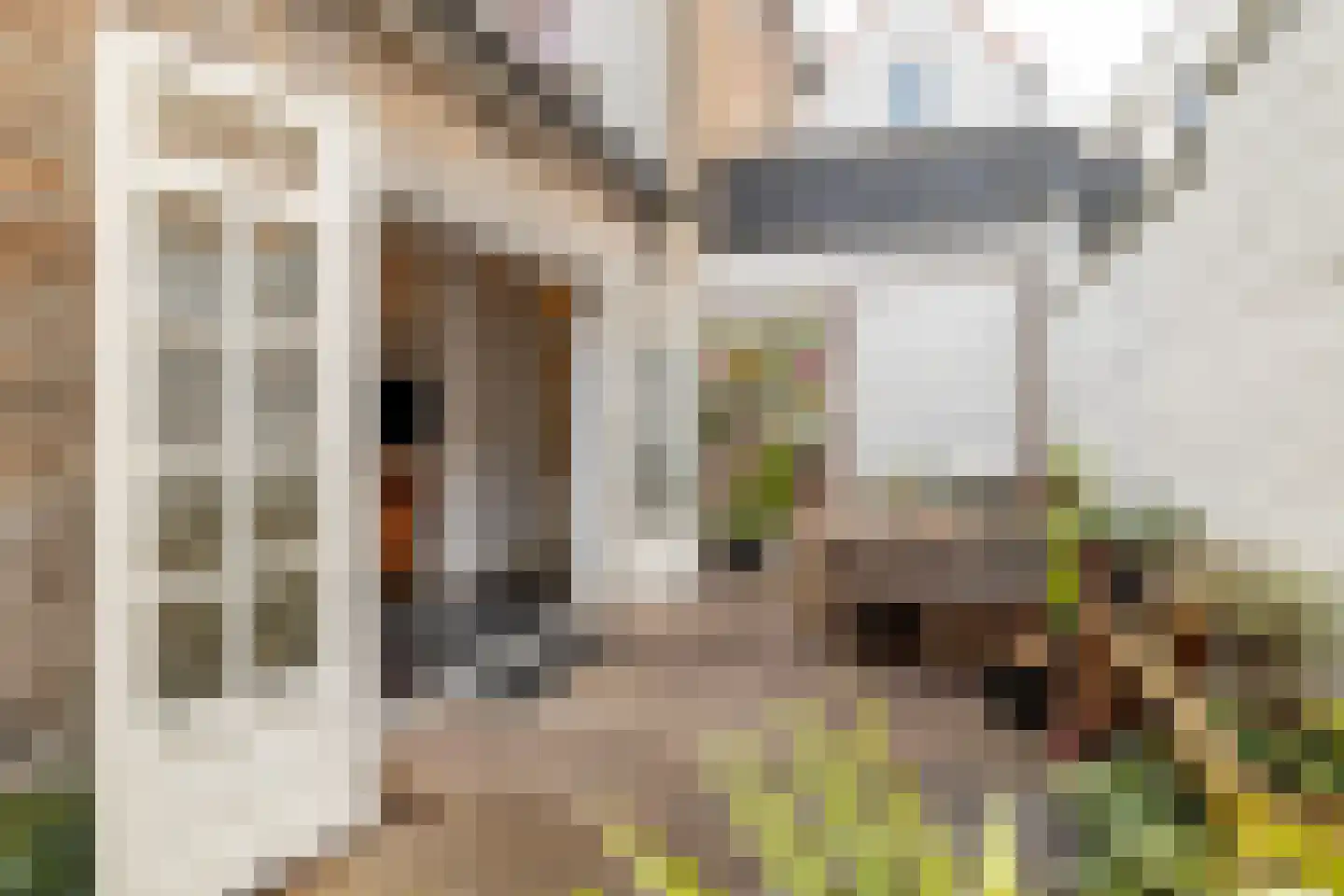 Vismarktstraat 10 Geertruidenberg thumbnail 44