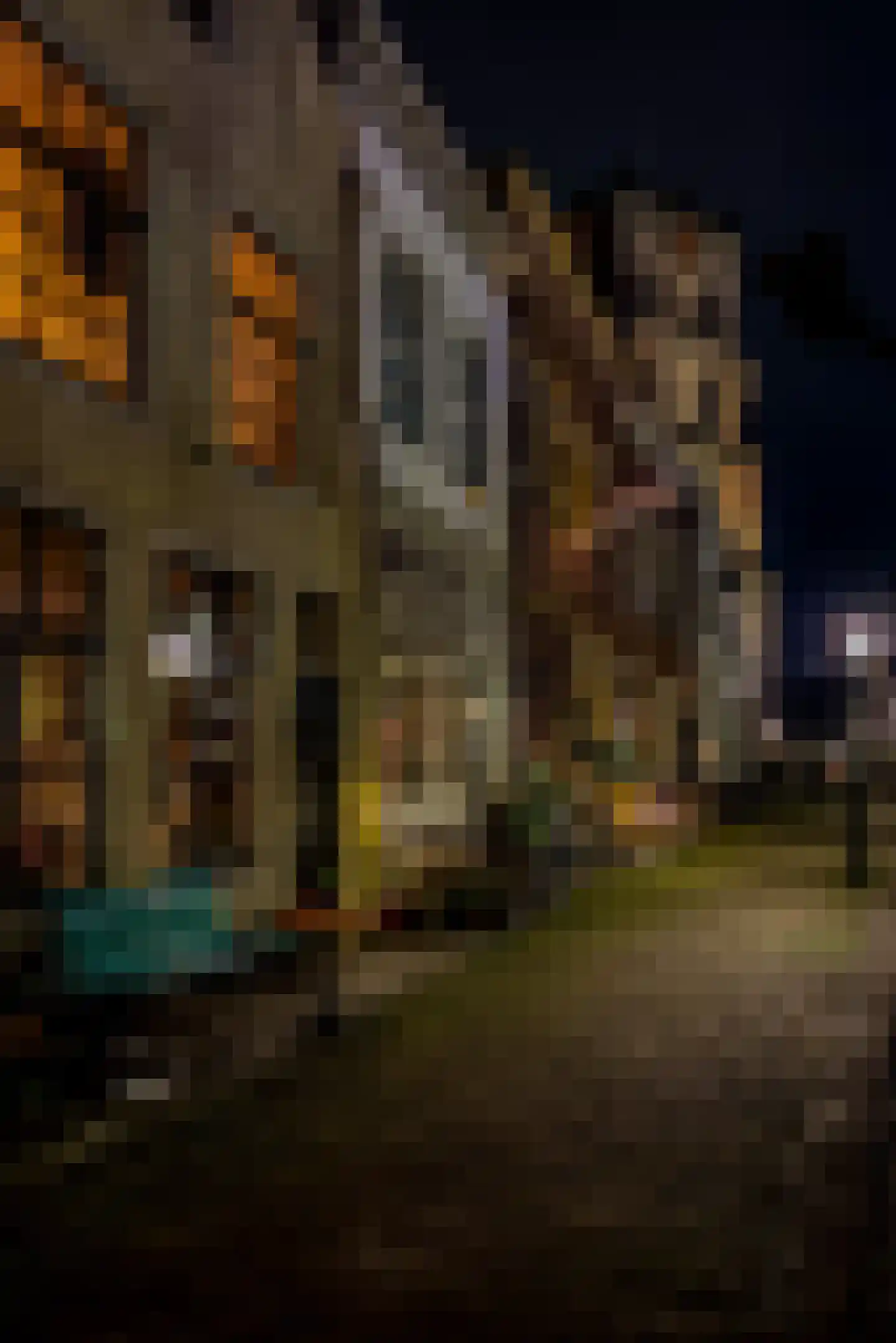 Vismarktstraat 10 Geertruidenberg thumbnail 51