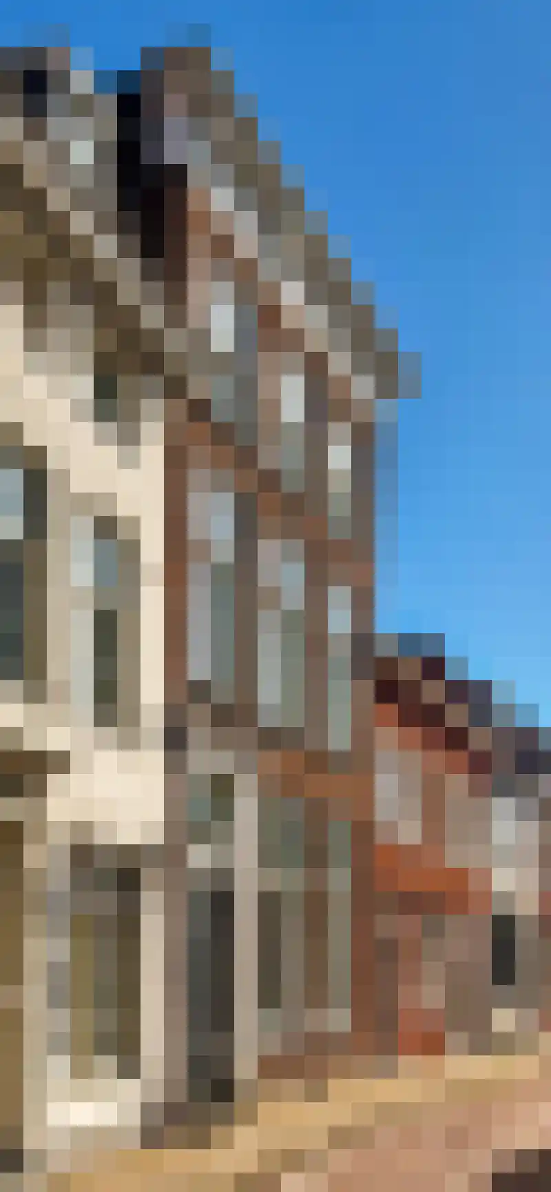 Vismarktstraat 10 Geertruidenberg thumbnail 7