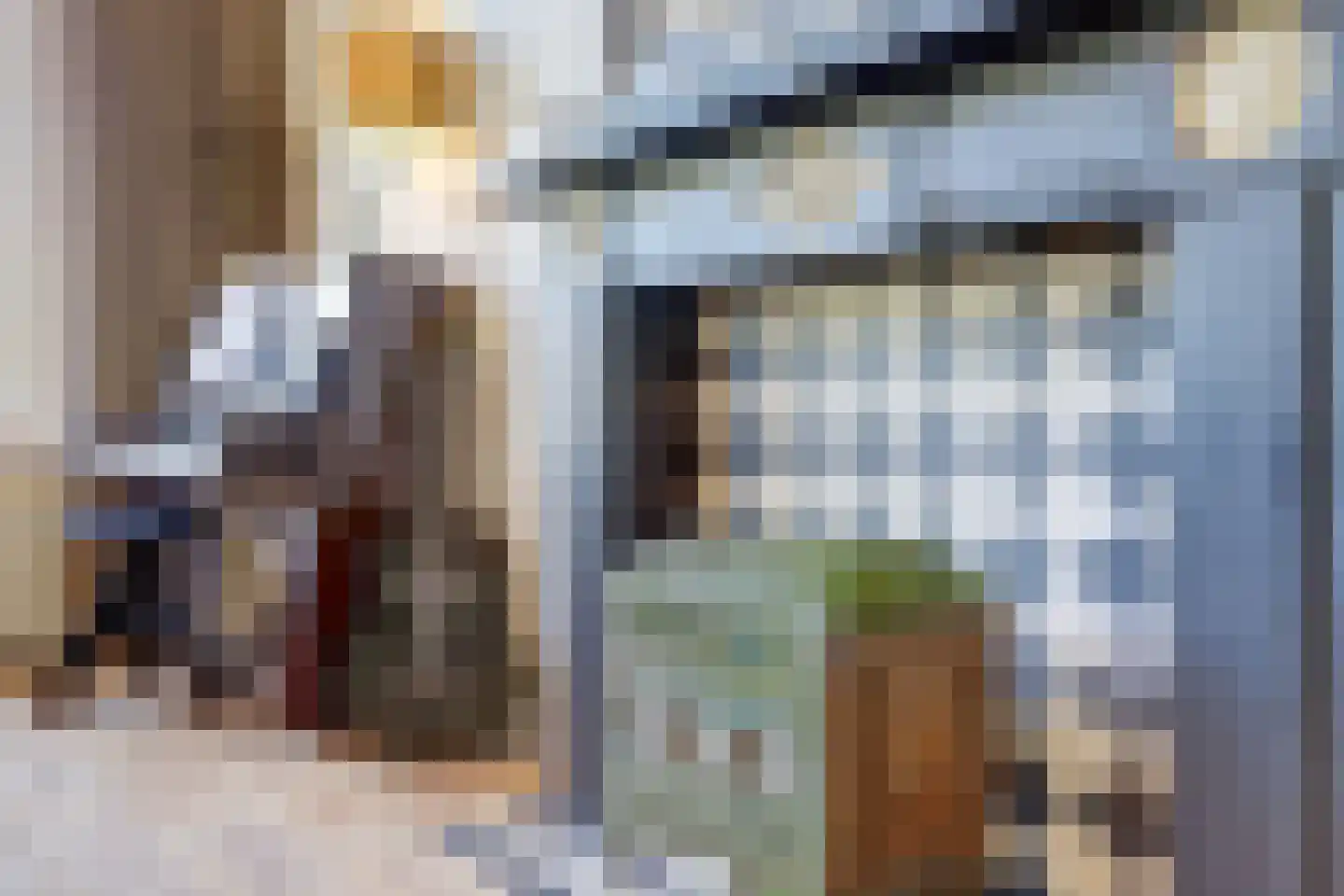 Vismarktstraat 20 Geertruidenberg thumbnail 23