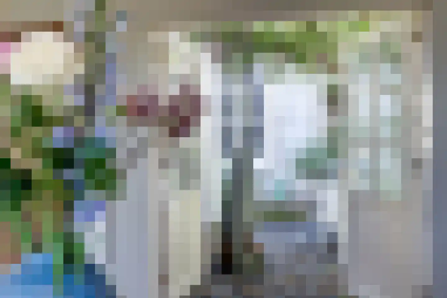 Vismarktstraat 20 Geertruidenberg thumbnail 26