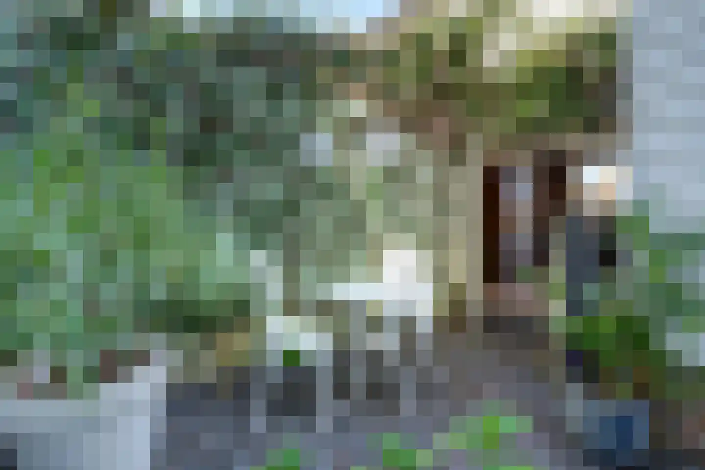 Vismarktstraat 20 Geertruidenberg thumbnail 27