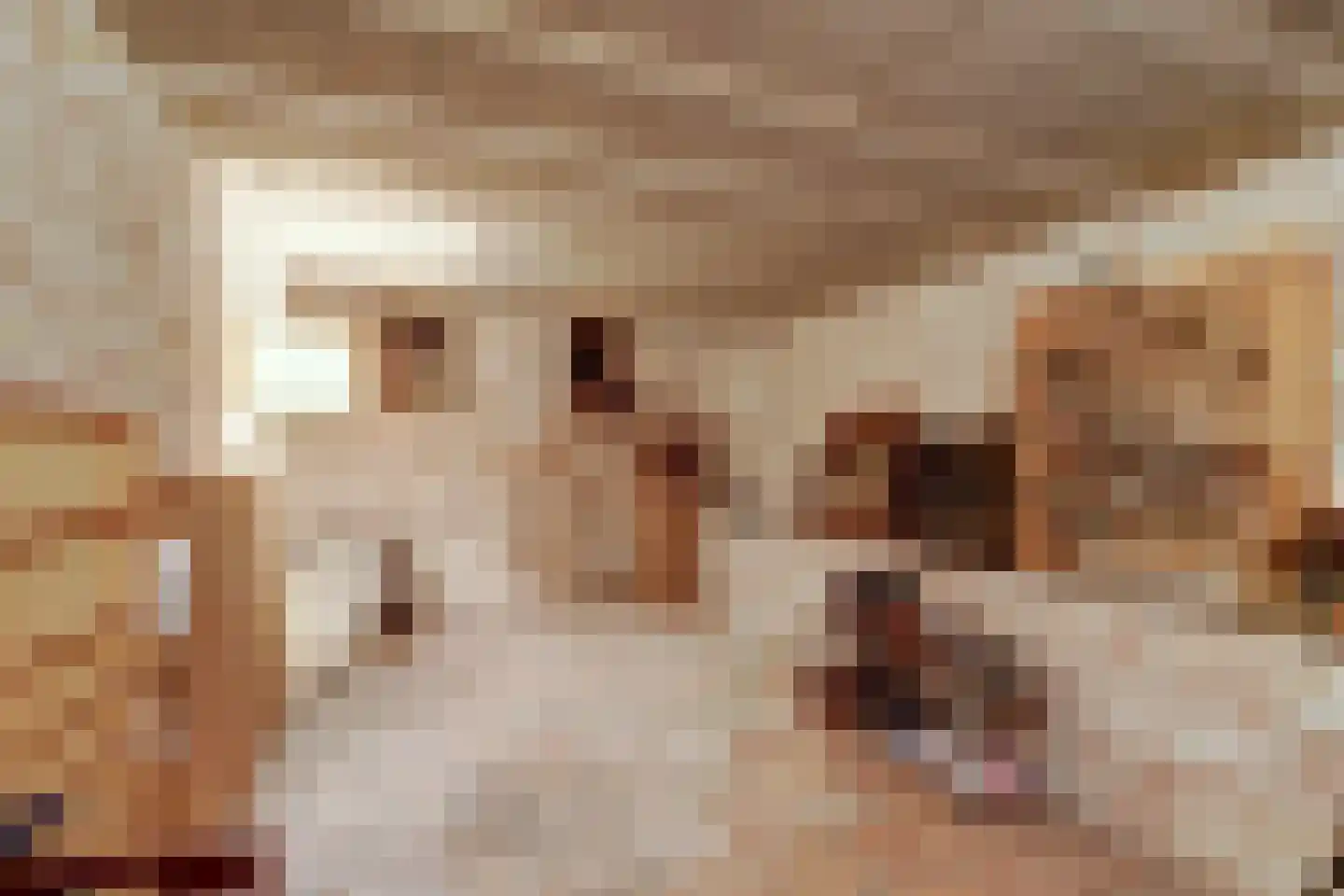 Vismarktstraat 20 Geertruidenberg thumbnail 33