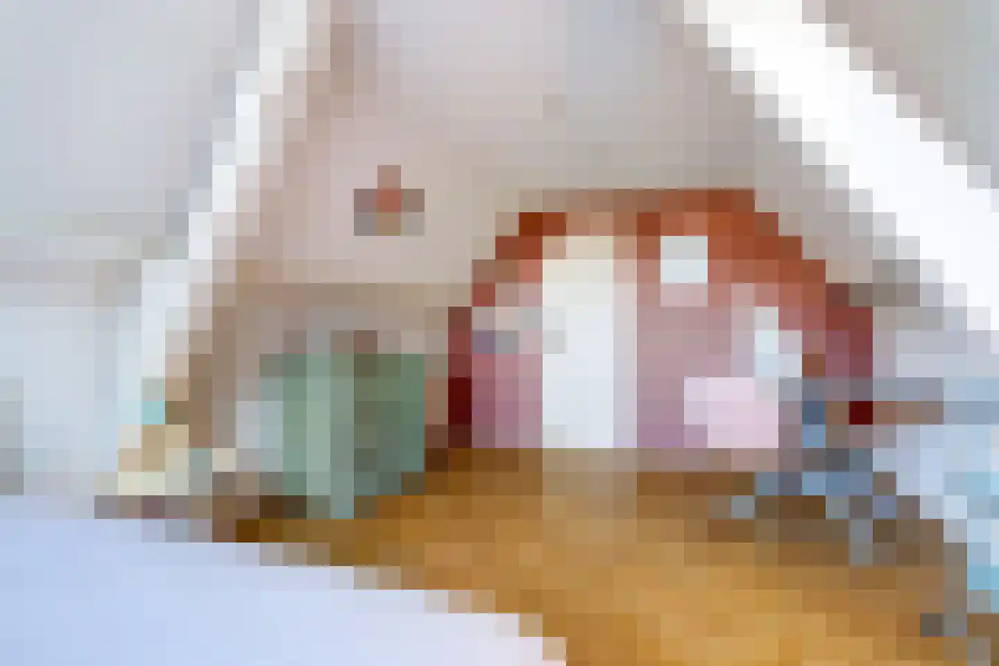 Vismarktstraat 20 Geertruidenberg thumbnail 53