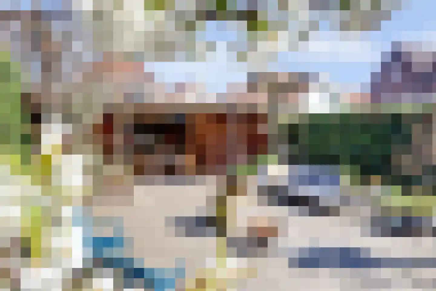 Vismarktstraat 20 Geertruidenberg thumbnail 60