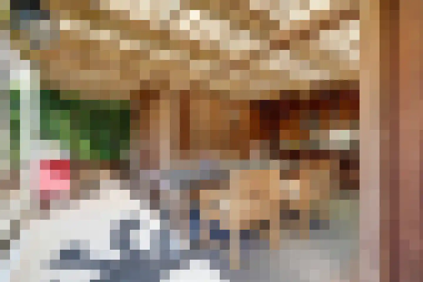 Vismarktstraat 20 Geertruidenberg thumbnail 67