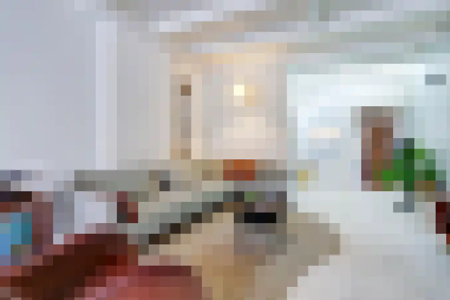 Vismarktstraat 20 Geertruidenberg thumbnail 8