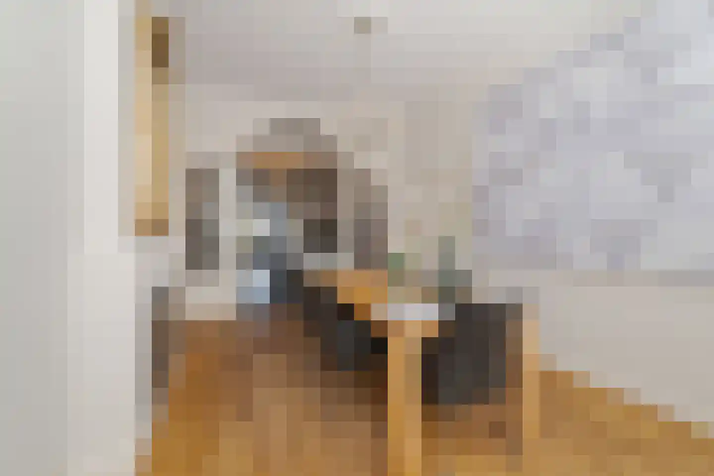 Vismarktstraat 24 Geertruidenberg thumbnail 10