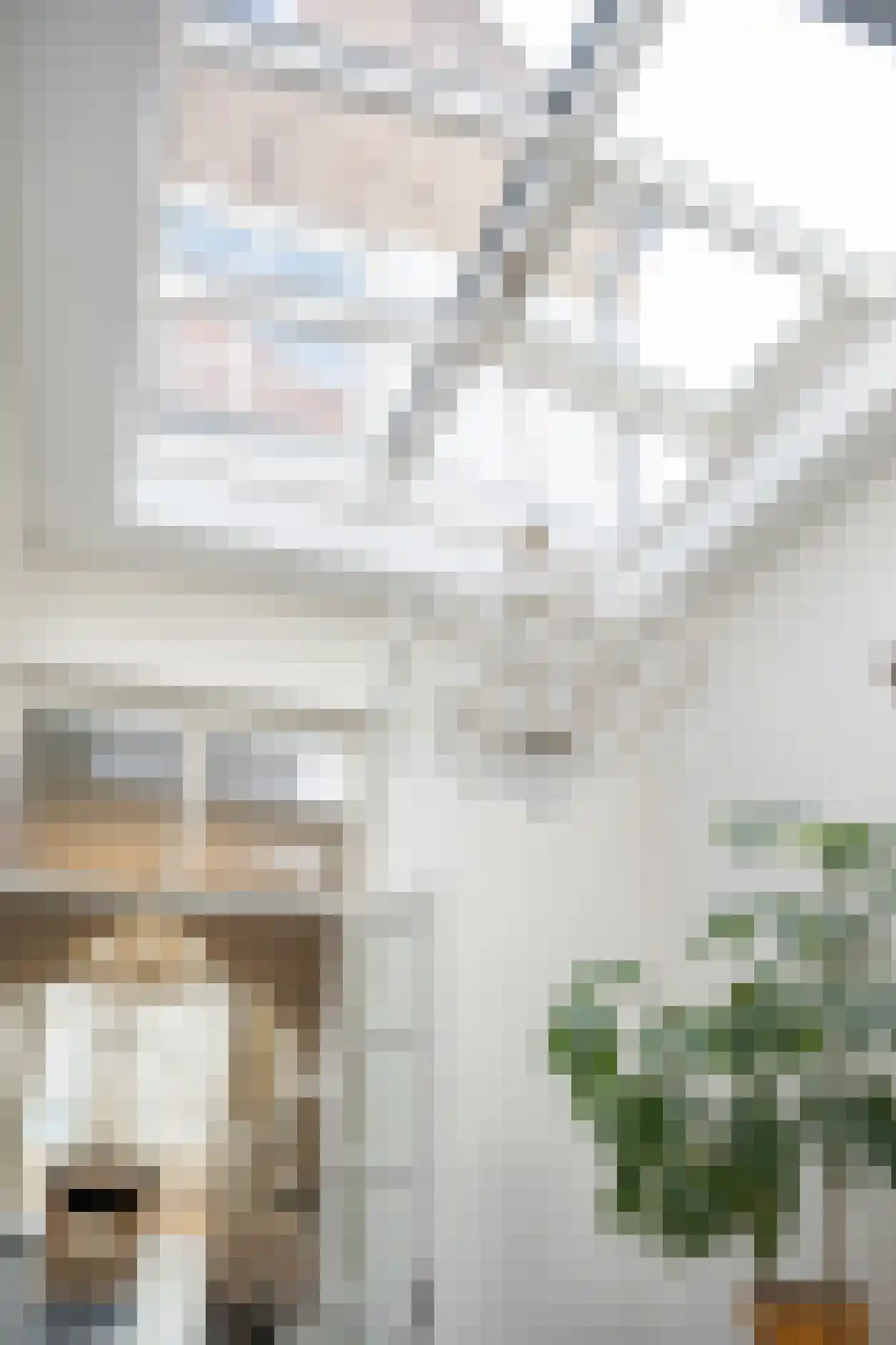 Vismarktstraat 24 Geertruidenberg thumbnail 15