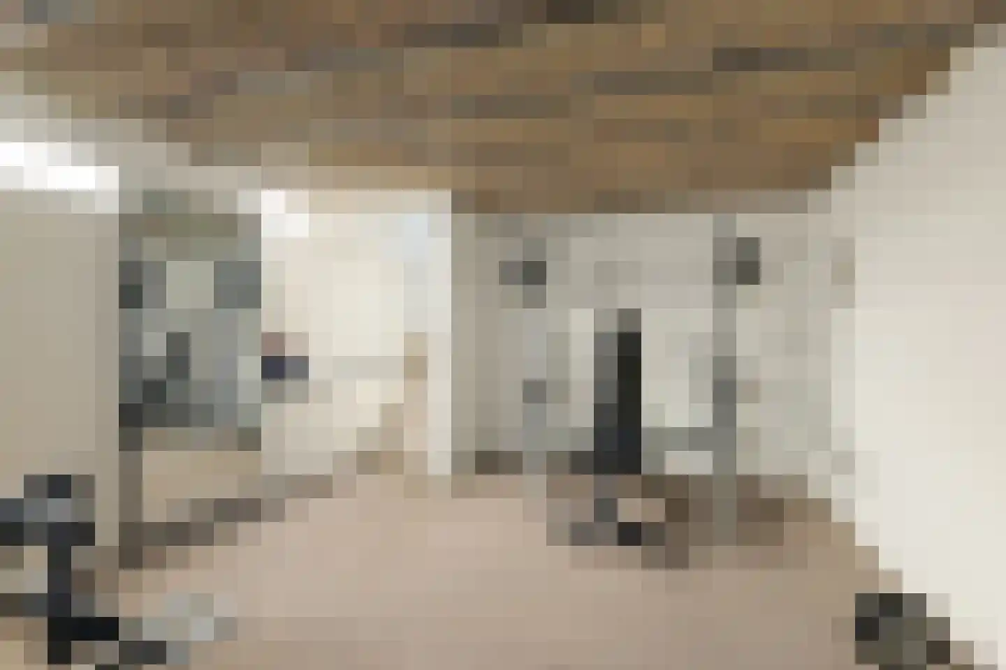 Vismarktstraat 24 Geertruidenberg thumbnail 24